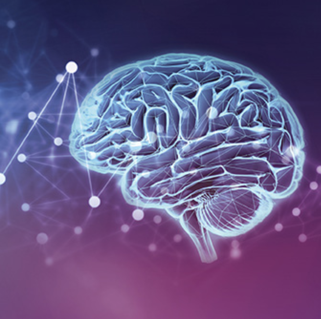 Epilepsy services icon